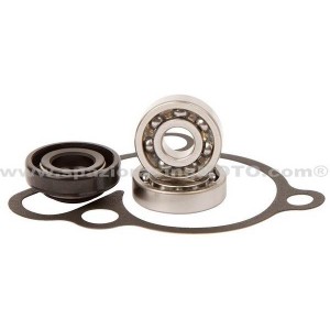 Kit reparación bomba de agua Suzuki RM125 01-03