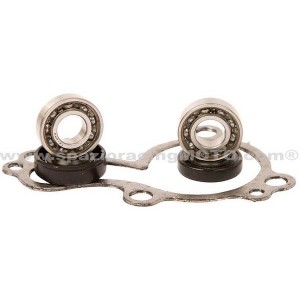 Kit reparación bomba de agua Kawasaki KLX450R 08-13, KX450F 06-15