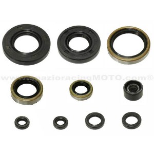 Kit retenes de motor Kawasaki KX250 05-08