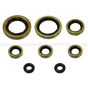 Kit retenes de motor KTM 520 EXC 00-02, 520 MXC 00-02, 520 SX 00-02