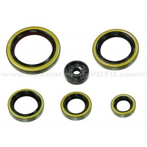Kit retenes de motor Kawasaki KTM 250 SX 03-12, 250 XC 06-12, 250 XC-W 06-12