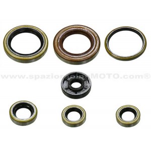 Kit retenes de motor KTM 250 SX-F-05-06, 250 XC-F-05-06, 250 SXS-F 05-11