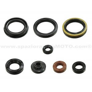 Kit retenes de motor Suzuki RM-Z250 10-12