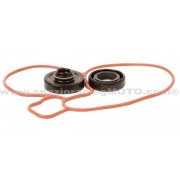 Kit reparación bomba de agua Suzuki RM-Z250 07-14