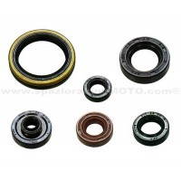 Kit retenes de motor Suzuki RM-Z250 07-08
