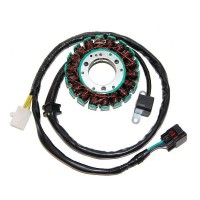 Estator Kawasaki KLX400R 03-04