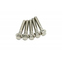 Pack 5 tornillos Autoblocantes acero inoxidable M6 DRC