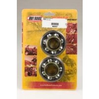 Rodamientos y Retenes cigüeñal Hot Rods Suzuki RM250 05-08