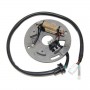 Estator Yamaha WR250 90-97, YZ250 90-95