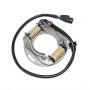Estator Kawasaki KX125 80-86, Kawasaki KX250 80-81