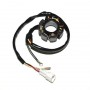 Estator Husaberg FC450 04-05, FC550 04-05