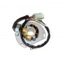Estator KTM  125 SX 06-12, 125 SXS 06-07, 144 SX 07-08, 150 SX 09-11, 200 EXC 2005, 200 XC 08-11, 200 XC-W 08-11, 250 SXS 06-07, 300 EXC 06-07, 300 MXC 06-07, 300 XC 06-07, 300 XC-W 06-07