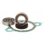 Kit reparación bomba de agua KTM 65 SX 99-08