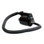 Bobina de encendido Yamaha DT50 88-90, XTZ125 82-83, BW200 85-88
