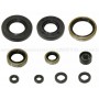 Kit retenes de motor Kawasaki KX250 05-08
