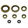 Kit retenes de motor KTM 520 EXC 00-02, 520 MXC 00-02, 520 SX 00-02