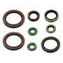 Kit retenes de motor KTM 500 SX-F 08-09, 500 XC-F 08-09, 505 SX 08-09, 505 SX-F 08-09, 505 XC-F 08-09