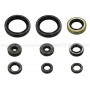 Kit retenes de motor Kawasaki KX250F 06-13