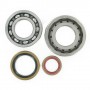 Rodamientos y Retenes cigüeñal Hot Rods KTM 250 EXC 04-11, 250 MXC 08-11, 250 SX 03-14, 250 SXS 03-07, 250 XC 06-14, 250 XC-W 06-14, 300 EXC 04-11, 300 MXC 04-11, 300 XC 06-14, 300 XC-W 06-14