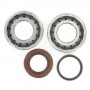 Rodamientos y Retenes cigüeñal Hot Rods KTM 250 EXC-F 06-07, 250 SX-F 05-10, 250 XC-F 07-09, 250 XCF-W 08-09