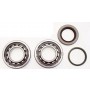 Rodamientos y Retenes cigüeñal Hot Rods KTM 250 XCF-W 10-11